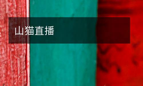 山猫直播
